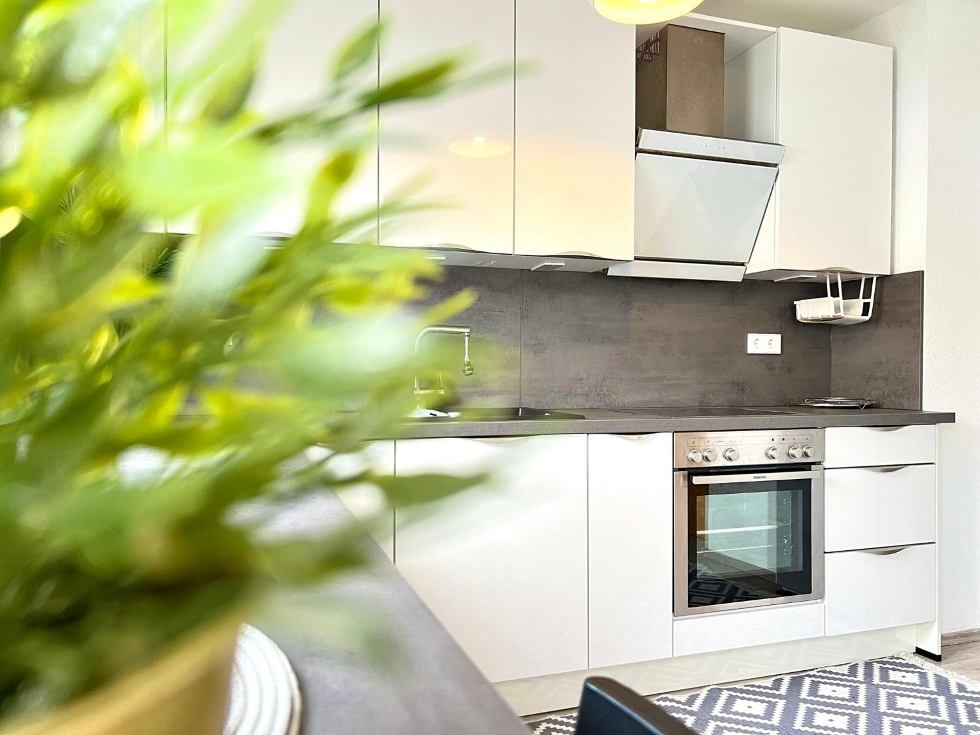 Comfy Apartment Mit Garten In Koeln 外观 照片